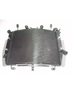 RADIATOR R6 05