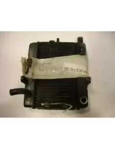 RADIADOR MAJESTY 250 00-06