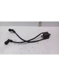 CACHA IZQUIERDA XJ 600N 99-02