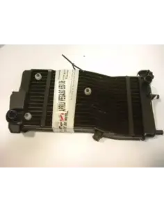 RADIADOR PEGASO 650 06 2