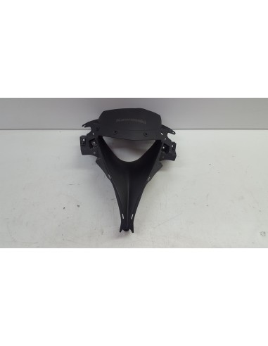 FRONTAL CENTRAL RAMAIR ZX6 09-11 55028029018T