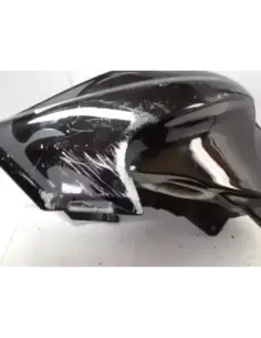 DEPOSITO GASOLINA PEGASO 650 06