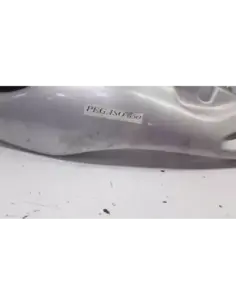 Cacha der Aprilia Pegaso 650 1999