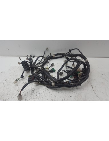 WIRE HARNESS XCITING 500R 32100-LDG7-E4