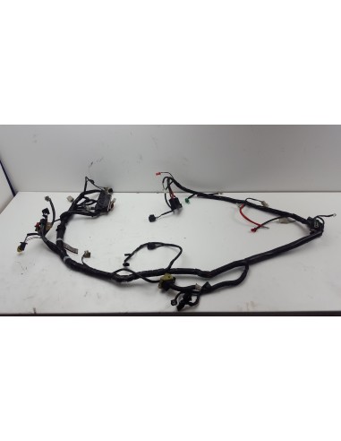 WIRE HARNESS SUPER DINK 125 ABS 09