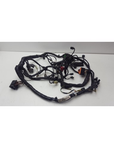 WIRE HARNESS ER6N 06-08 260310400