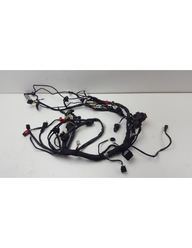 WIRE HARNESS RS 125 21-23 2D000659