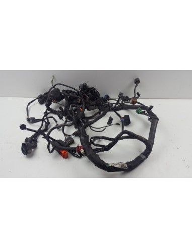WIRE HARNESS GTR 1400 13-14 ABS 260310619
