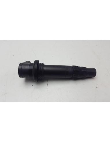IGNITION COIL R7 21-24 1WS8231000