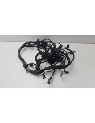 WIRE HARNESS F 800 S/ST 04-12 61117705431