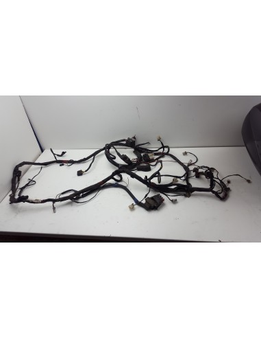 WIRE HARNESS BEVERLY 125 05-09 640409 - 640788