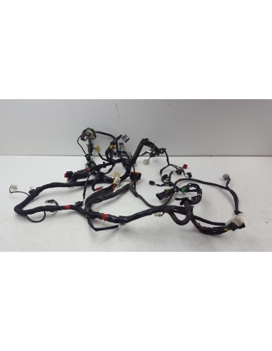WIRE HARNESS MEDLEY 125 16- 1D001991