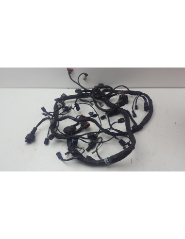 WIRE HARNESS ER6F 06-08 260310420