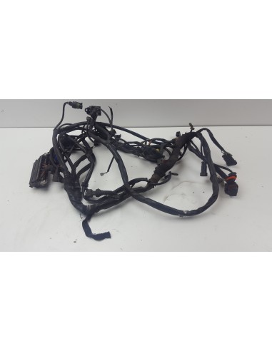WIRE HARNESS MONSTER 695 51014672A
