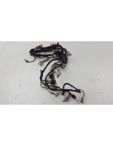 WIRE HARNESS GPR 125 NUDE 2T 04-06 00H05703051