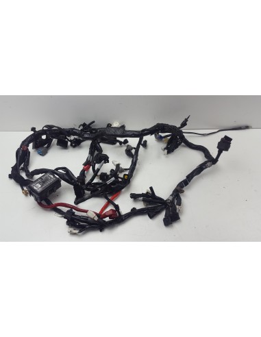 WIRE HARNESS TRACER 9 GT 21-22 BAP825900000 - BAP825900100