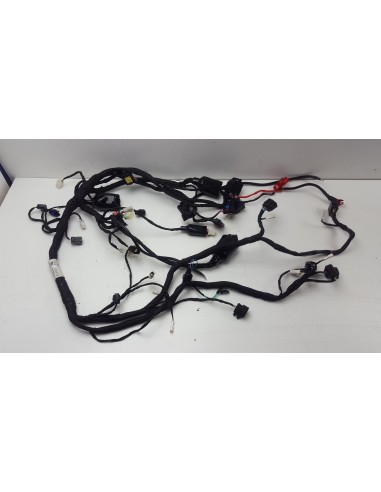 WIRE HARNESS T 310 22-23 1184200-164000