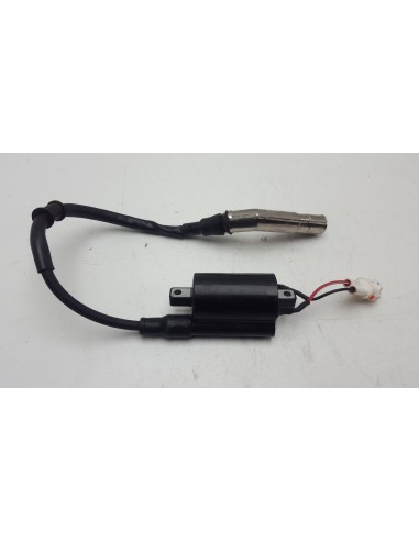 IGNITION COIL T 310 1184200-194000