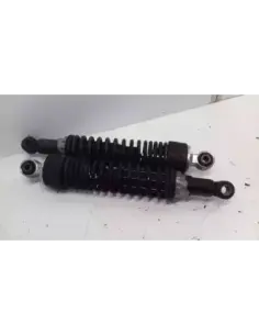 SHOCK ABSORBERS NEXUS 250 05-07 (pair)