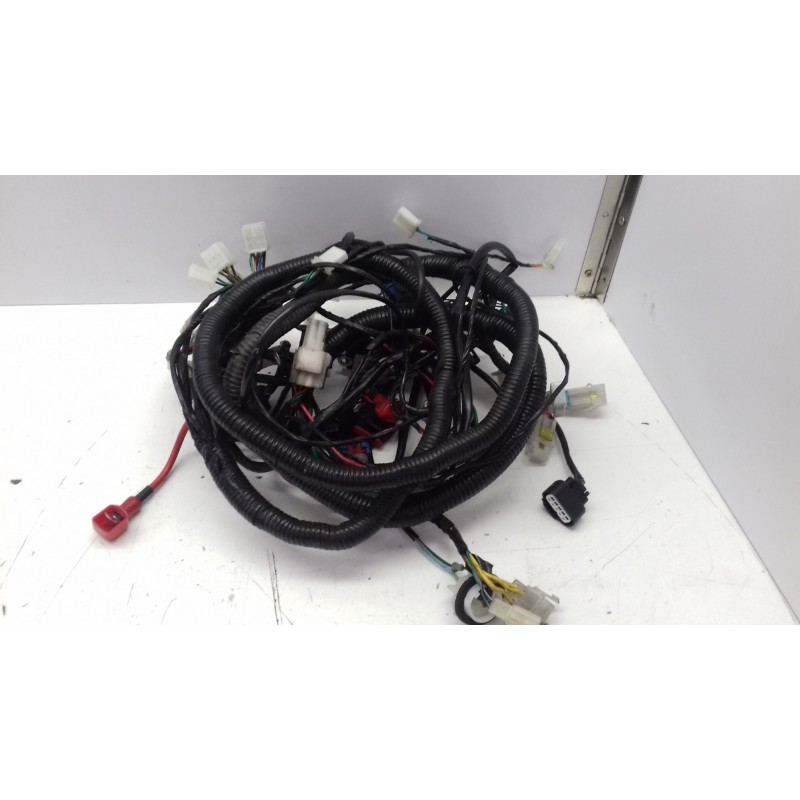 WIRE HARNESS STORM 125 17-21