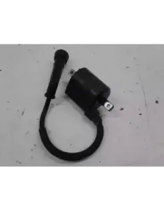 IGNITION COIL MARAUDER 250