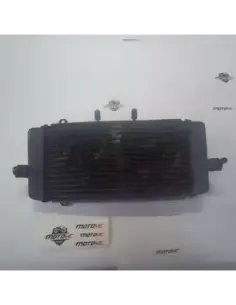 INAZUMA 250 RADIATOR