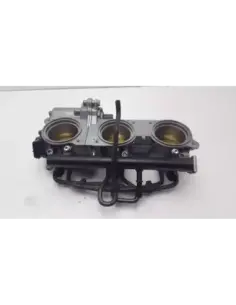 INYECCION TIGER 1200 RALLY PRO 22-23