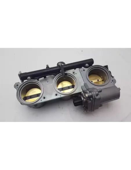 INYECCION TIGER 1200 RALLY PRO 22-23