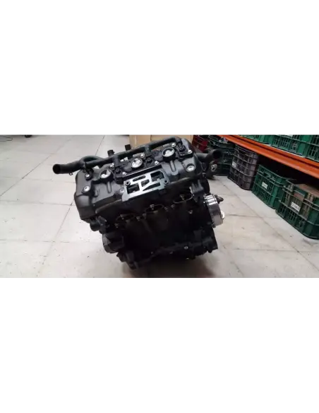 Motor Triumph Tiger 1200 RALLY PRO 2022 - 2023 segunda mano