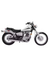 REBEL 250