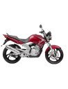 YBR 250