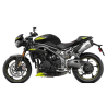 SPEED TRIPLE 1050 18-