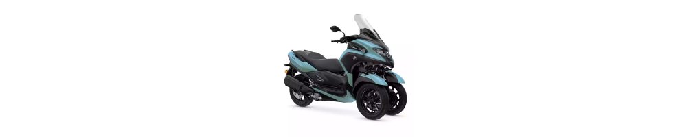 TRICITY 300 22-24