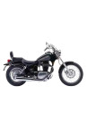 SAVAGE 650