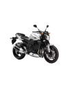 FZ1