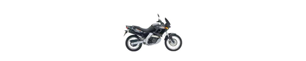 PEGASO 650 02