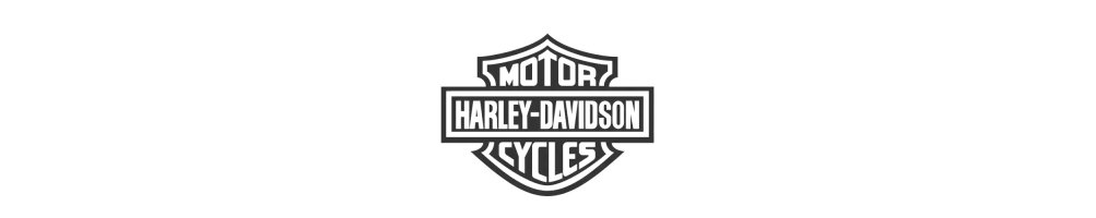 Recambio usado Harley Davidson | desguace y recambios motoye.es