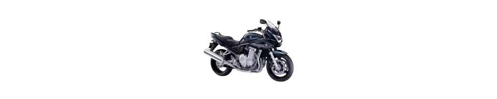 Used spare parts Suzuki BANDIT 650 09-10, in Motoye the best spare parts and spare parts of exploded SUZUKI | Shipping in 24 hours | Warranty and Return | Best prices