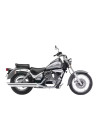 INTRUDER 250