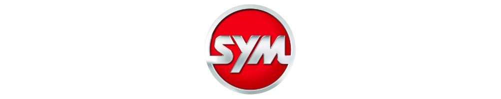Spare part used Sym | scrapping and spare parts motoye.es