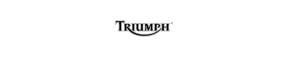 Used spare part Triumph TRIUMPH | scrapping and spare parts motoye.es