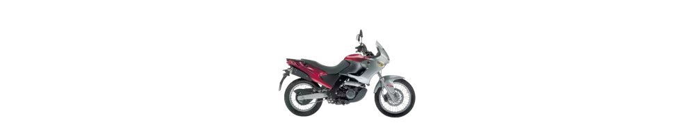 PEGASO 650