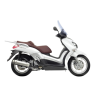 XCITY 125