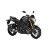 FZ8