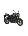 FZ8