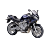 FZ6